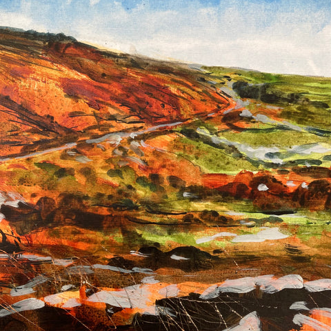 Zennor moor