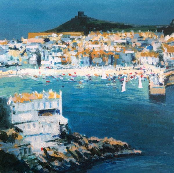Seagulls view - St Ives